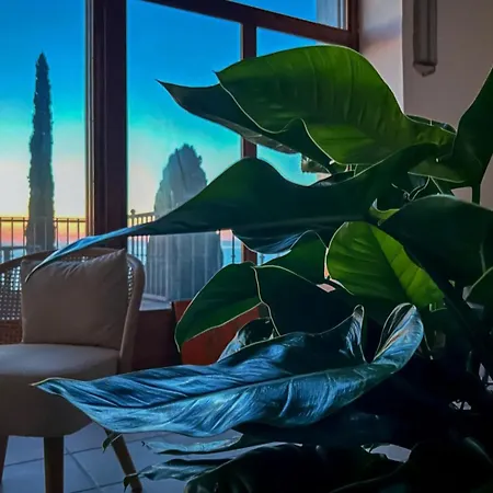 Maison d'hôtes Velta Sea Sunset *